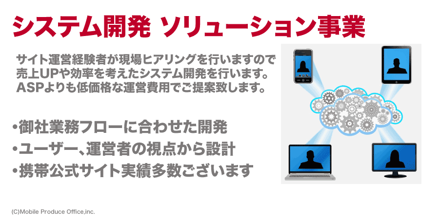 システム開発-ソリューション事業